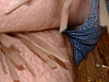 DSCF0141.JPG