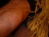 DSCF0142.JPG