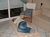 DSCF0028.jpg